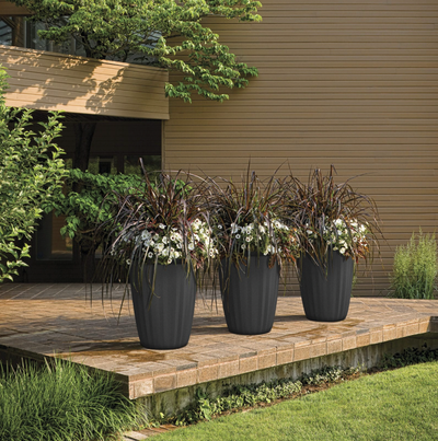 Pot - Pleat