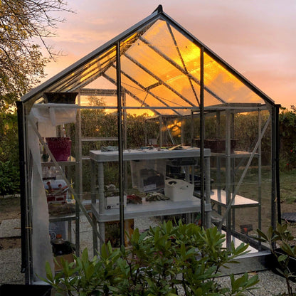 Serre_Verre_Horticole_interieur