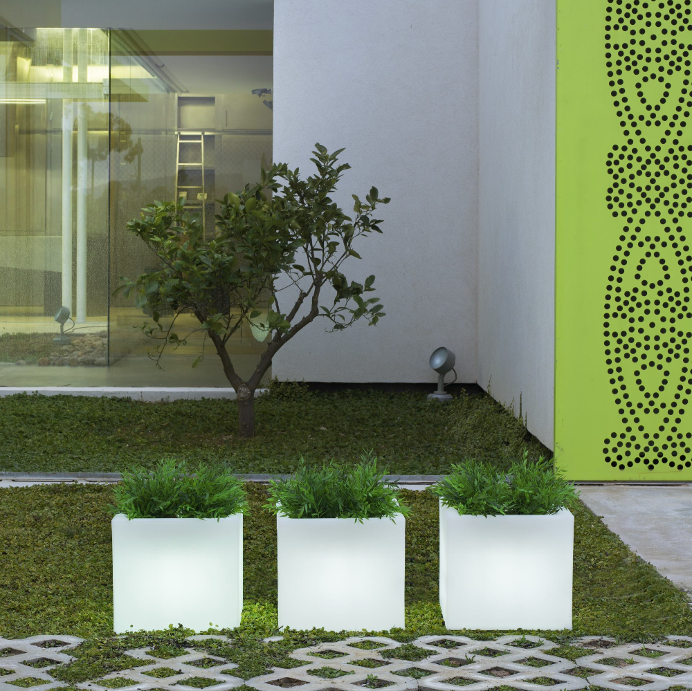 bac lumineux jardin