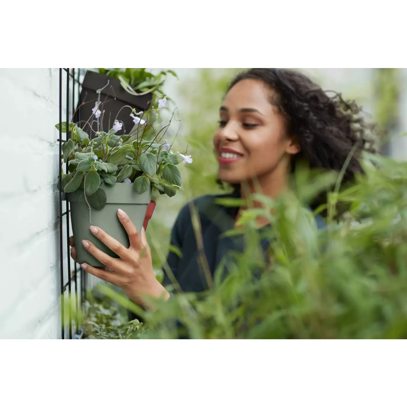 Pot Mural Plastique <br> Wall duo (x10)