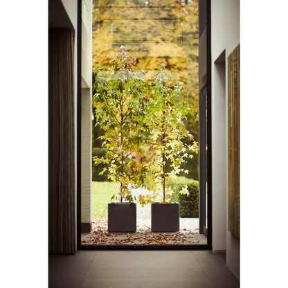 cache_pot_plastique_carre_50x50