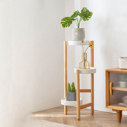 etagere-plante-bambou