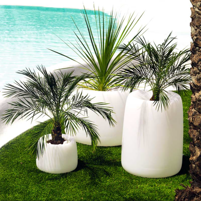 Gros pot de fleurs design