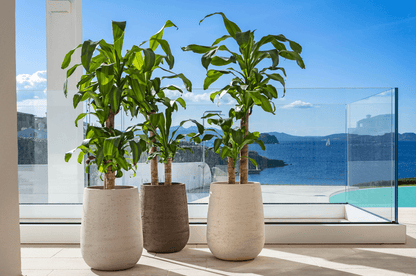 gros-pot-terre-cuites