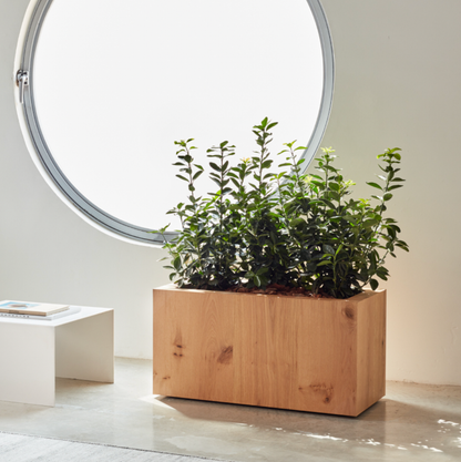 Jardinière - Tammi Rectangulaire