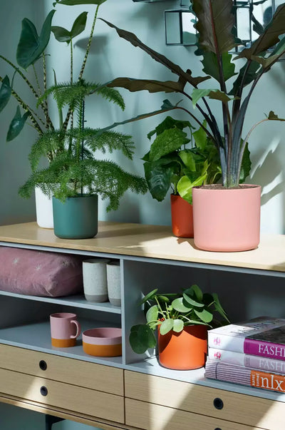 jardiniere-recyclable