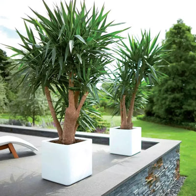 jardiniere_plastique_carre_50x50