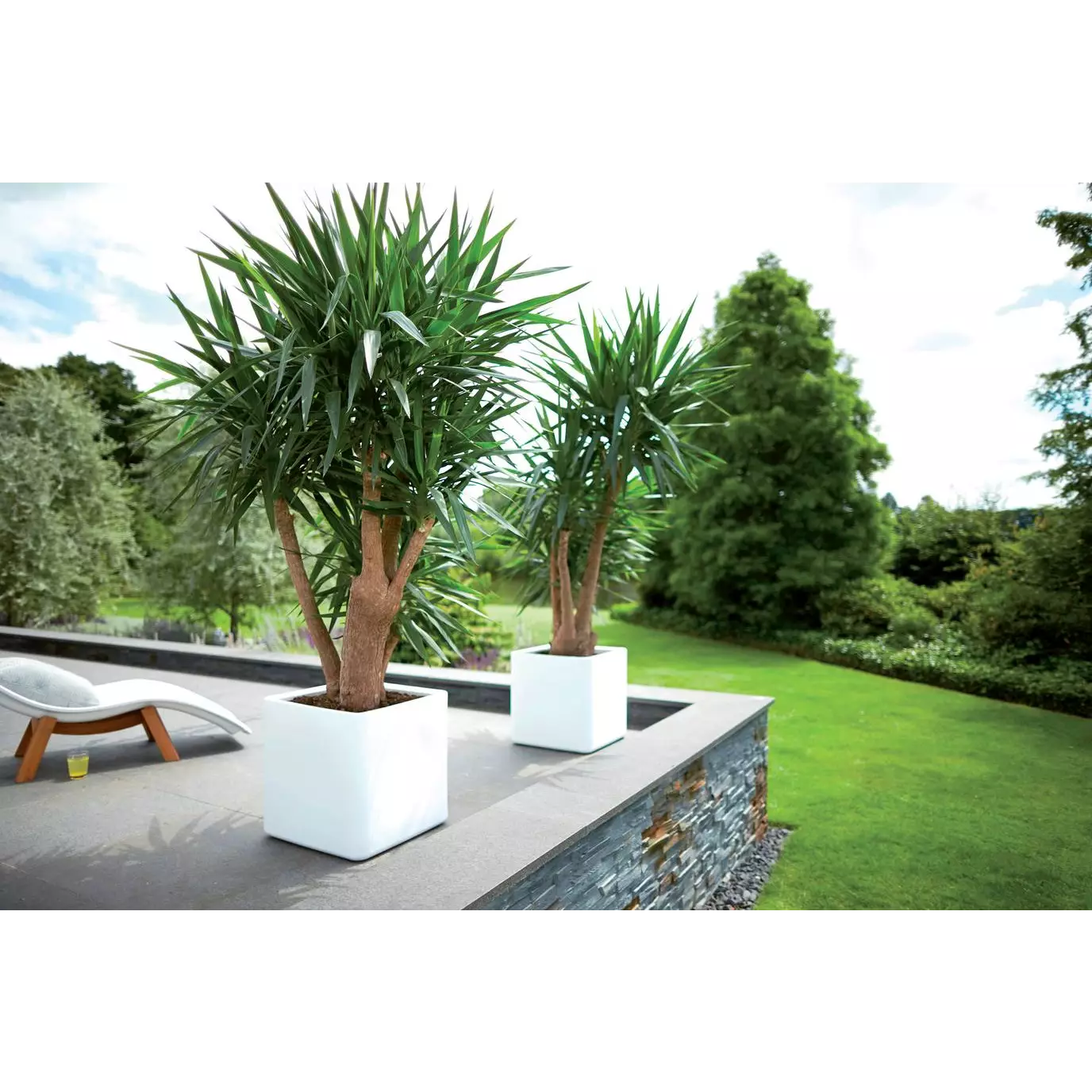     jardiniere_plastique_carre_50x50