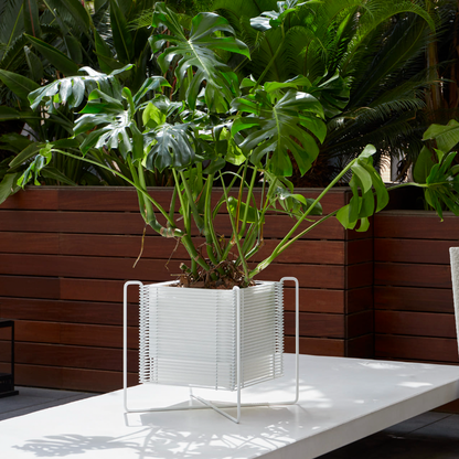 jaridniere-fleurs-pied-interieur