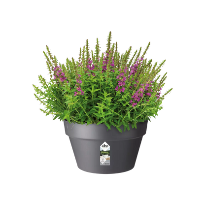 Pot - Loft Urban (x5)