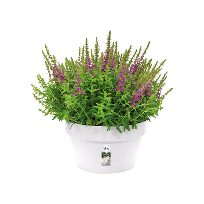 Pot - Loft Urban (x5)
