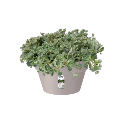 Pot - Loft Urban (x5)