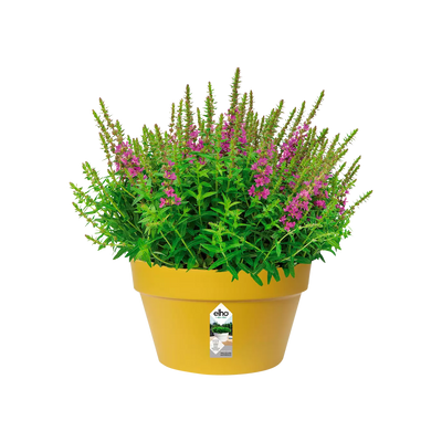 Pot - Loft Urban (x5)