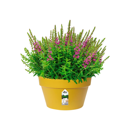Pot - Loft Urban (x5)