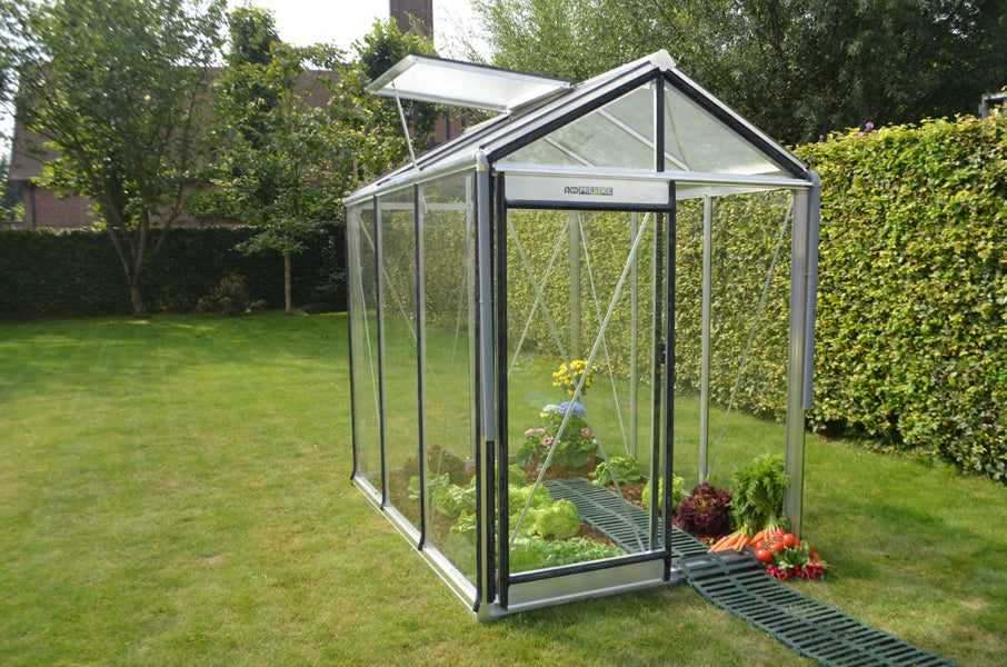 petite-serre_verre_piccolo_P03