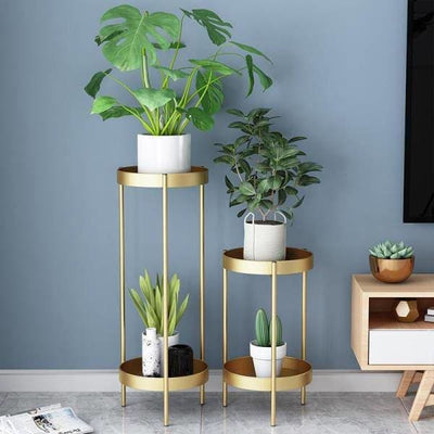 support plante or