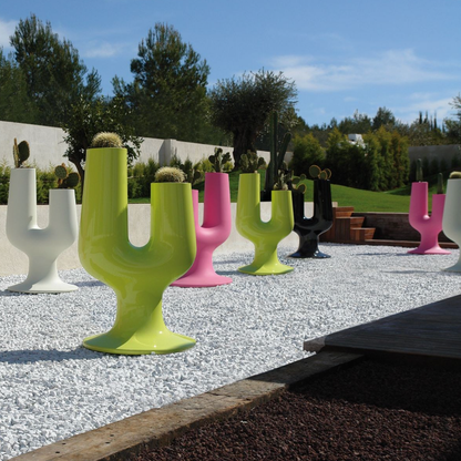 pot-fleurs-cactus-design