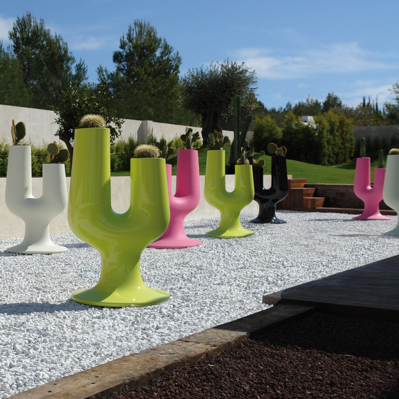 pot-fleurs-cactus-design