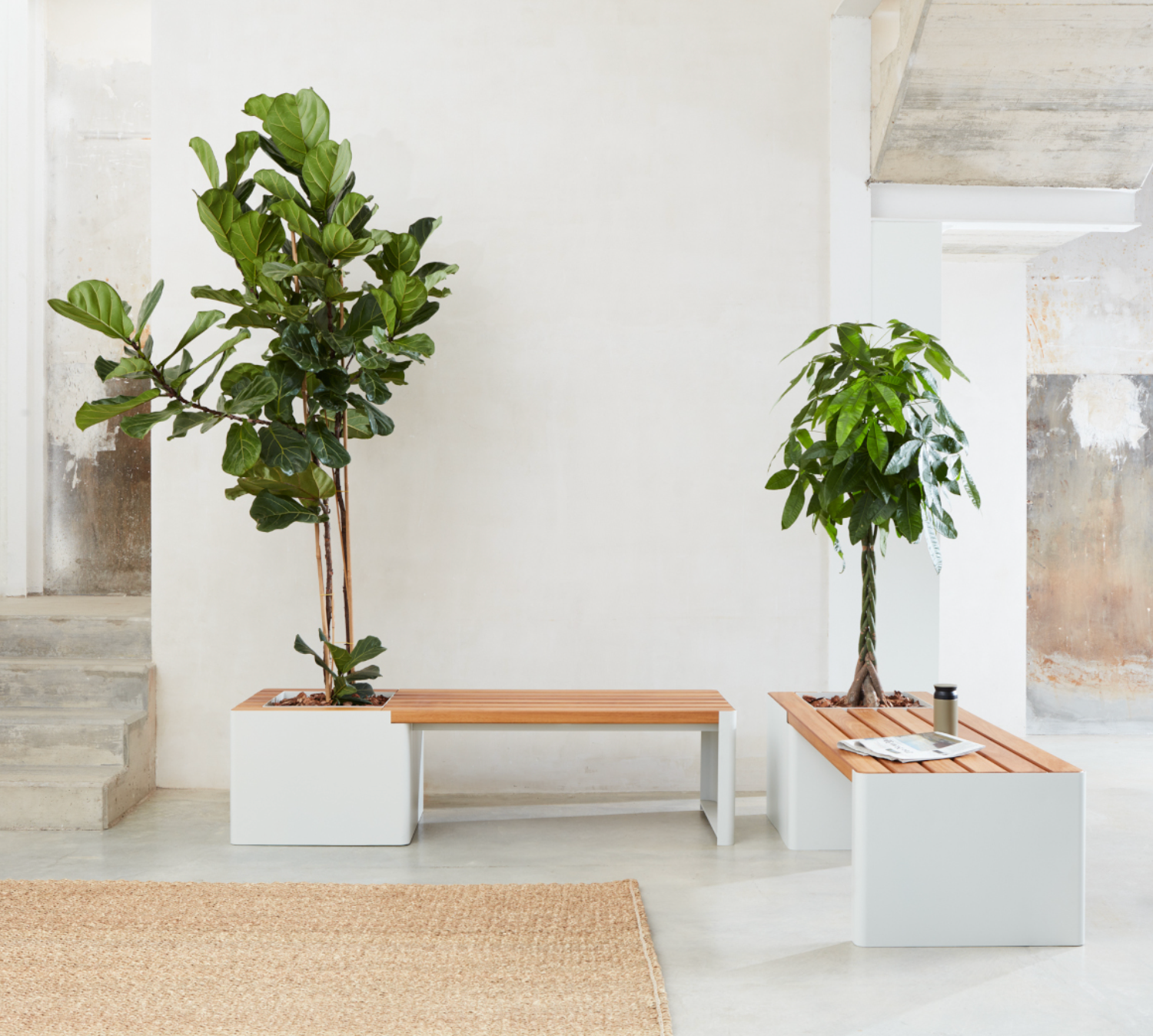 Jardinière - Woodgreen