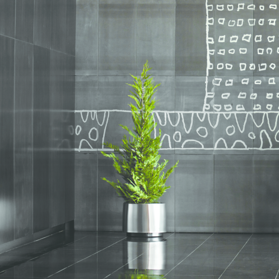 pot-fleurs-fer-plante