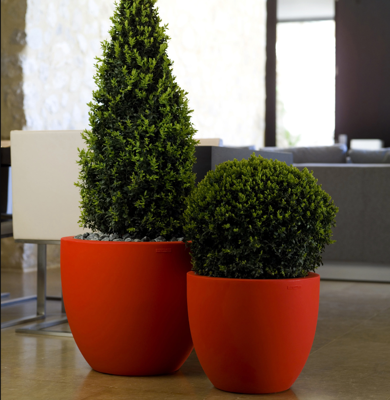 pot interieur rouge