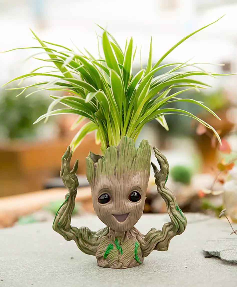 pot-je-sapelle-groot