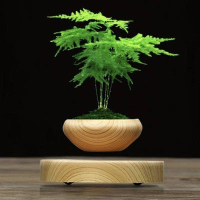 cache pot levitation