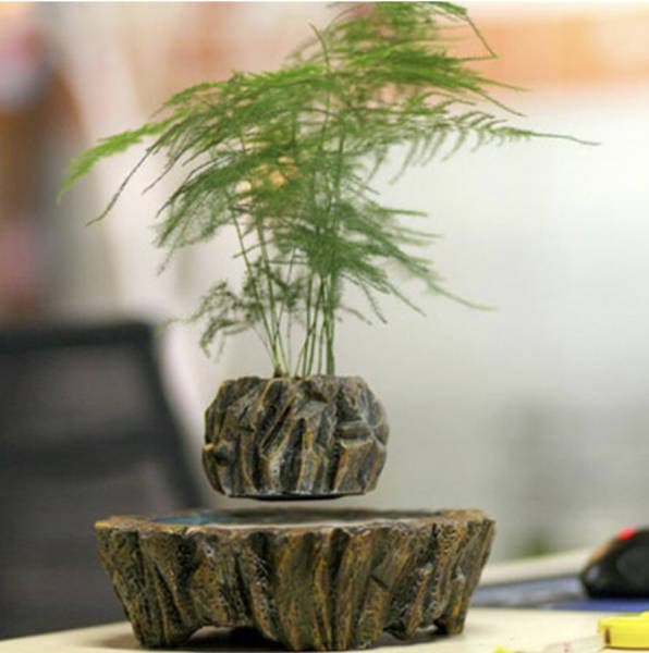 pot bonsaï en lévitation