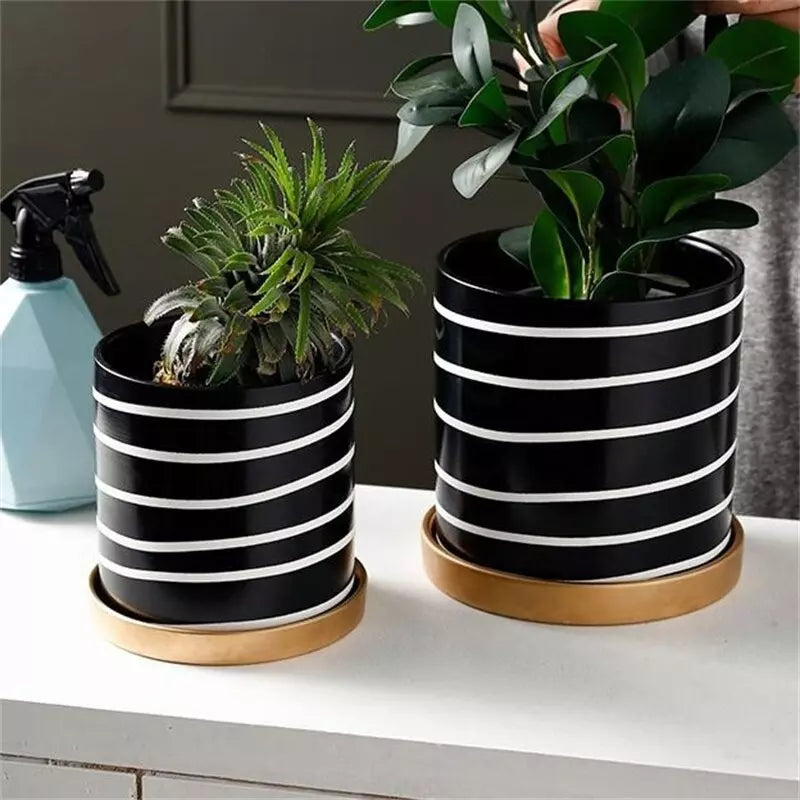 pot_fleurs_blanc_noir