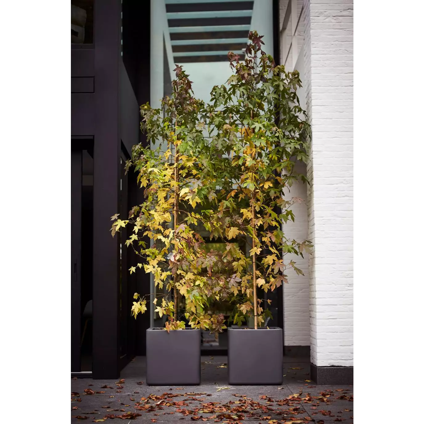 pot_fleurs_plastique_carre_50x50