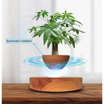 pot de fleurs sur pied