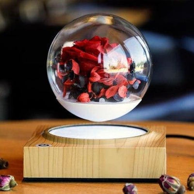 Pot <br> Boule de Verre