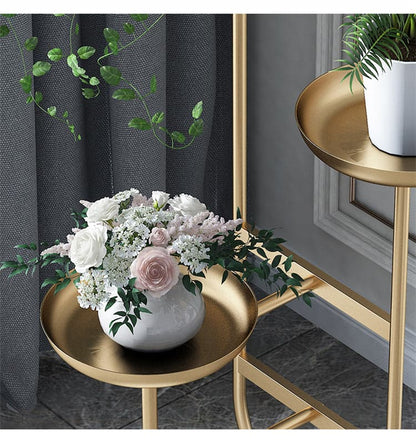 Support Plante - Auré