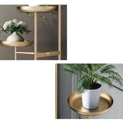 Support Plante - Auré