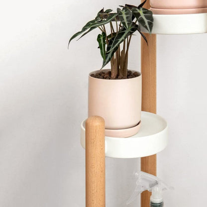 Porte Plante en Bois sur Pied <br> Havane