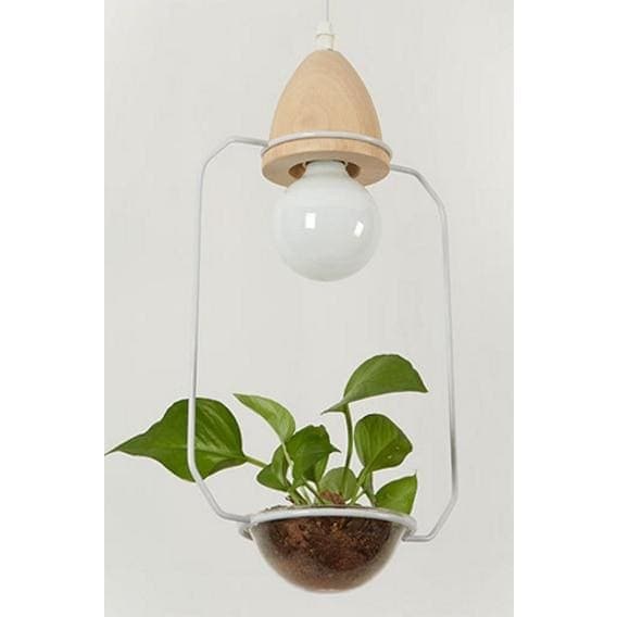 lampes végétales