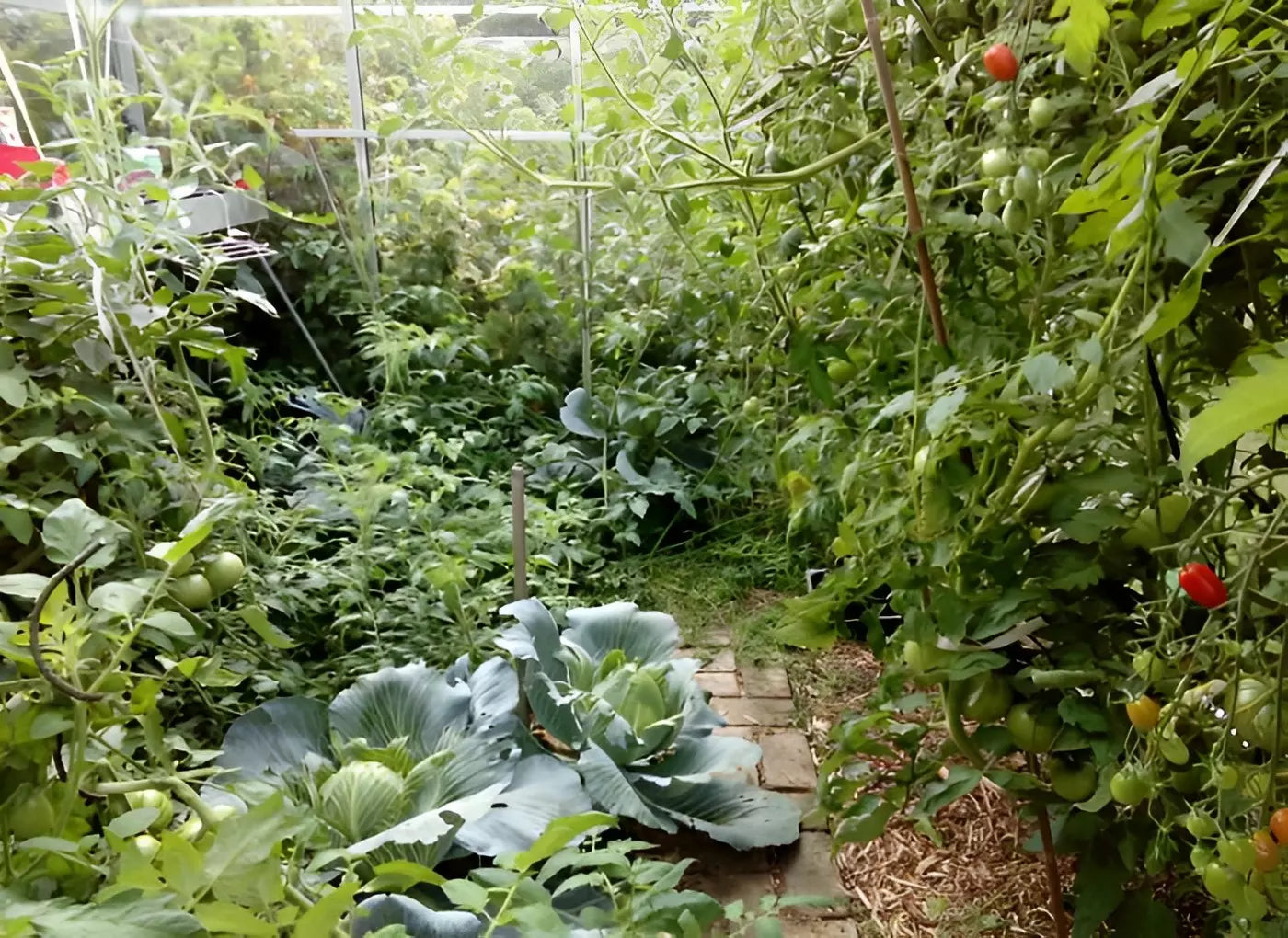 serre-jardin-verre-orignale-ACD