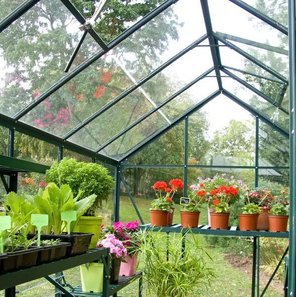 serre_exterieure_verre_verte