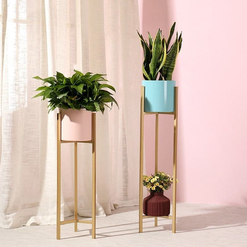 support-plante-dore