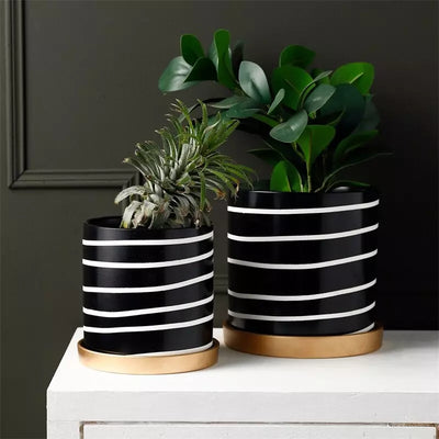 vase_blanc_noir