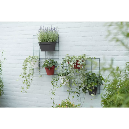 Pot Mural Plastique <br> Wall duo (x10)